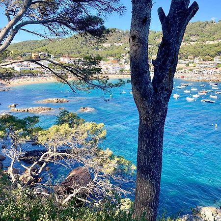 Apartment 1Llad01 - Llafranc Calella De Palafrugell Esterno foto