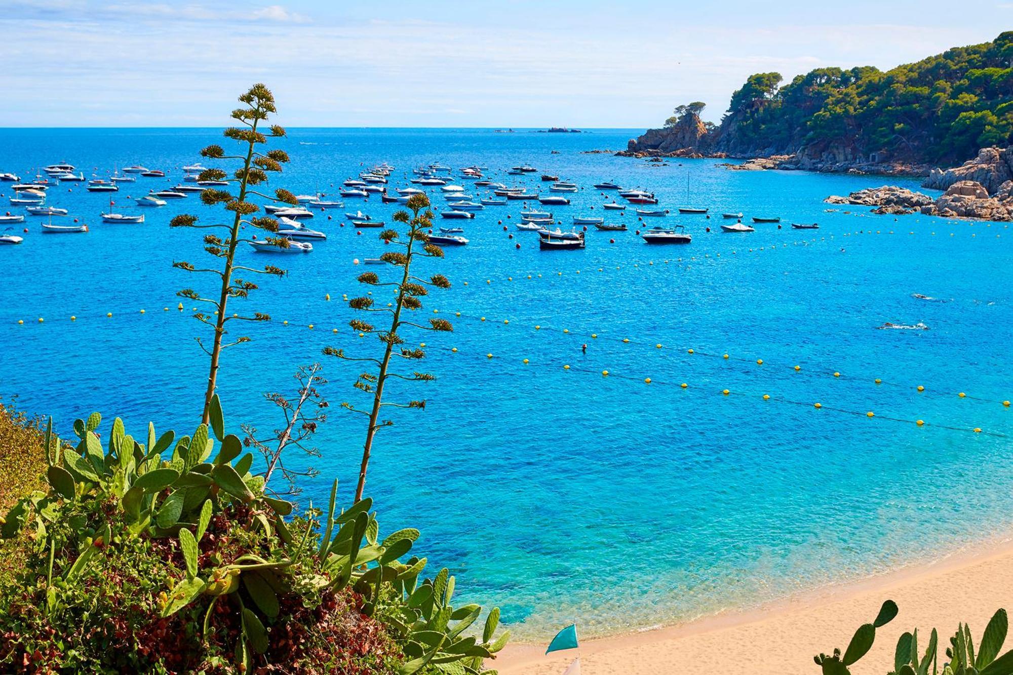 Apartment 1Llad01 - Llafranc Calella De Palafrugell Esterno foto