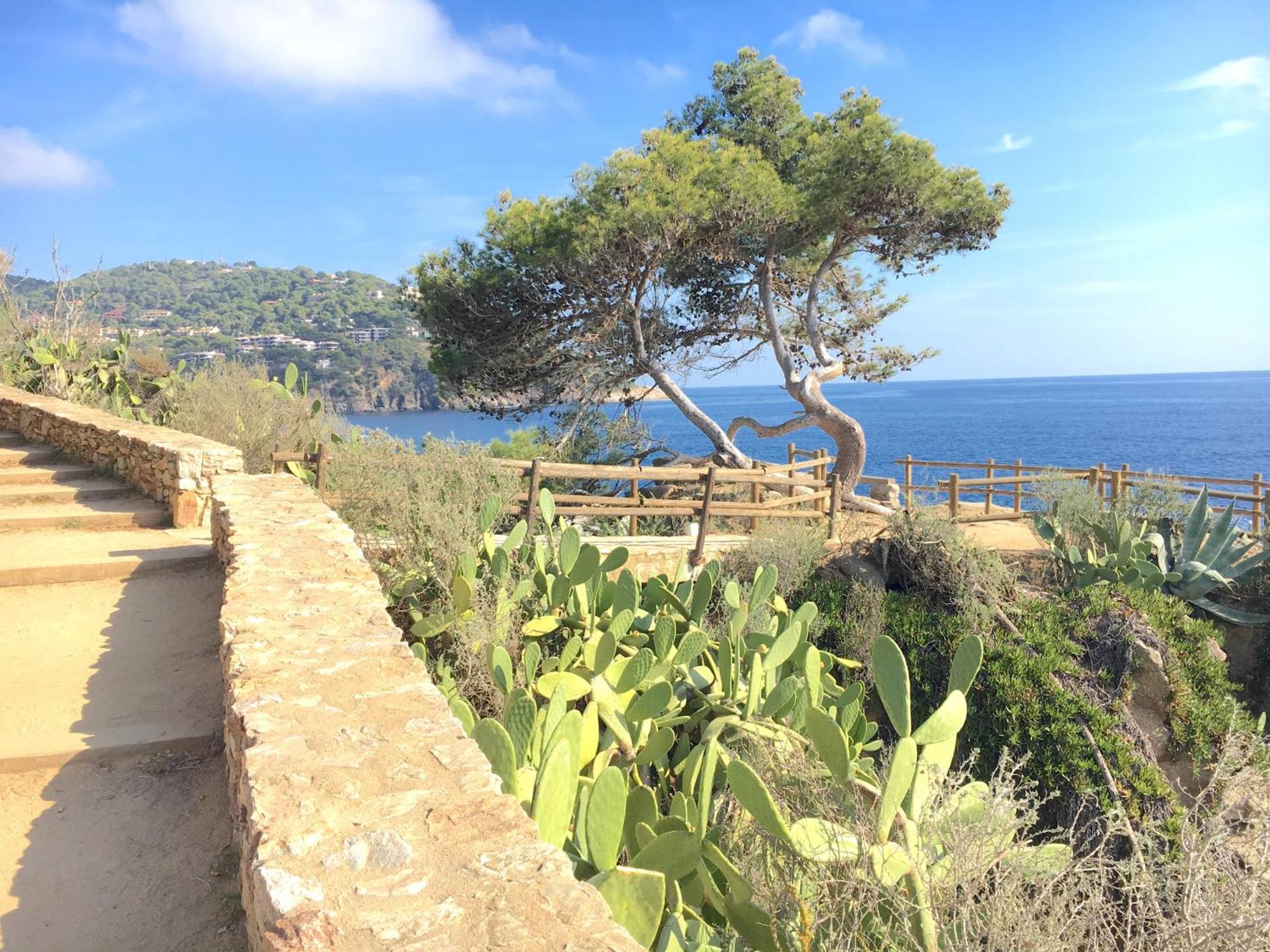Apartment 1Llad01 - Llafranc Calella De Palafrugell Esterno foto